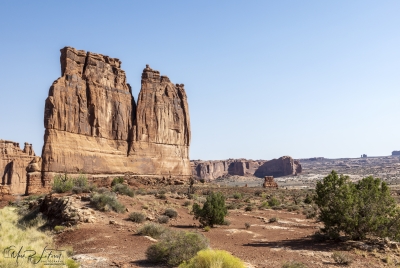 The Organ Arches NP June 2025